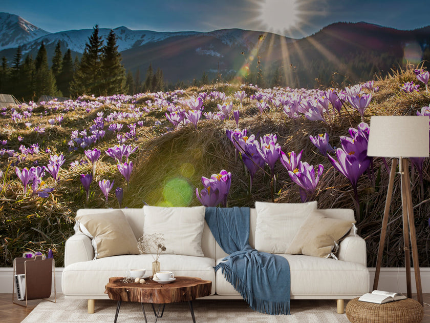 DoğaManzarası Duvar Kağıdı