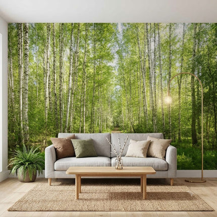 Güneş Işıklı Huş Ormanı Yemyeşil Orman Patikası Duvar Kağıdı